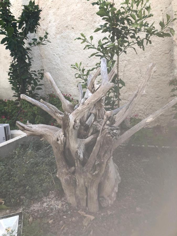B&B Villa S.Anna Bari Bagian luar foto